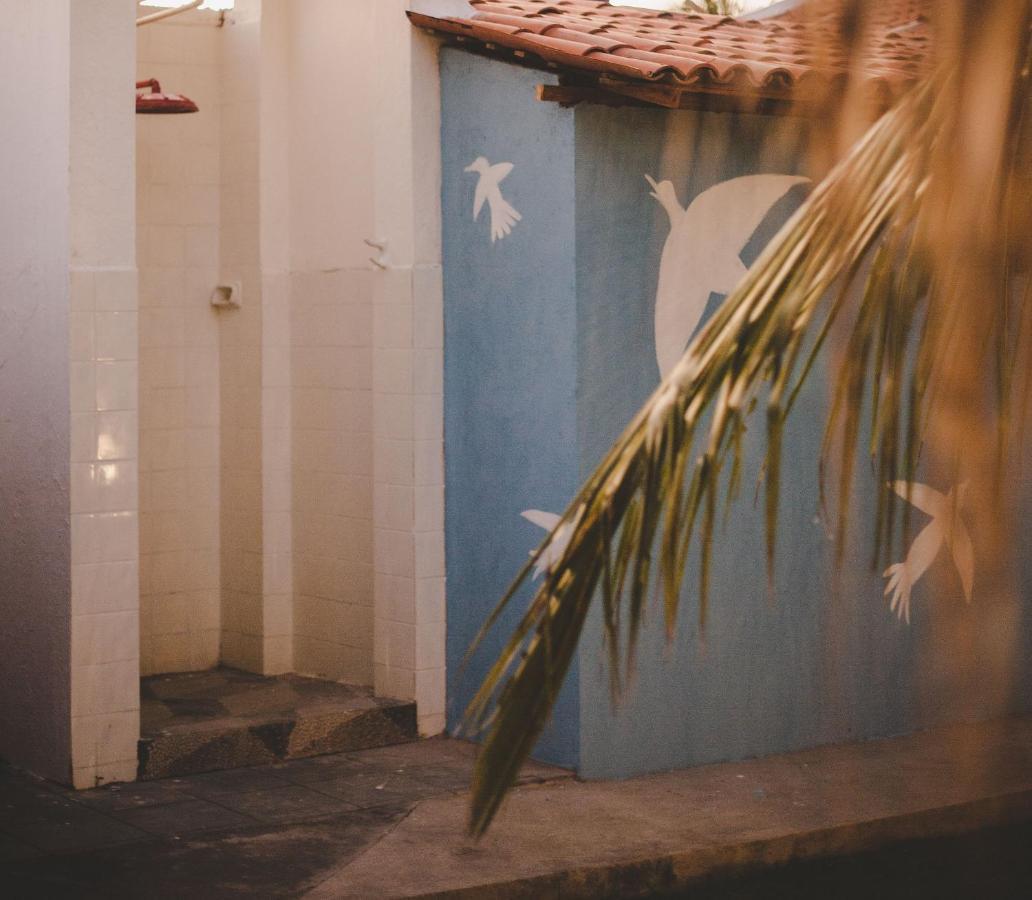 4 Quartos Ao Lado Da Praia Do Patacho Porto de Pedras Bagian luar foto